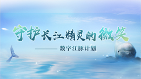 长江江豚保护专题片
